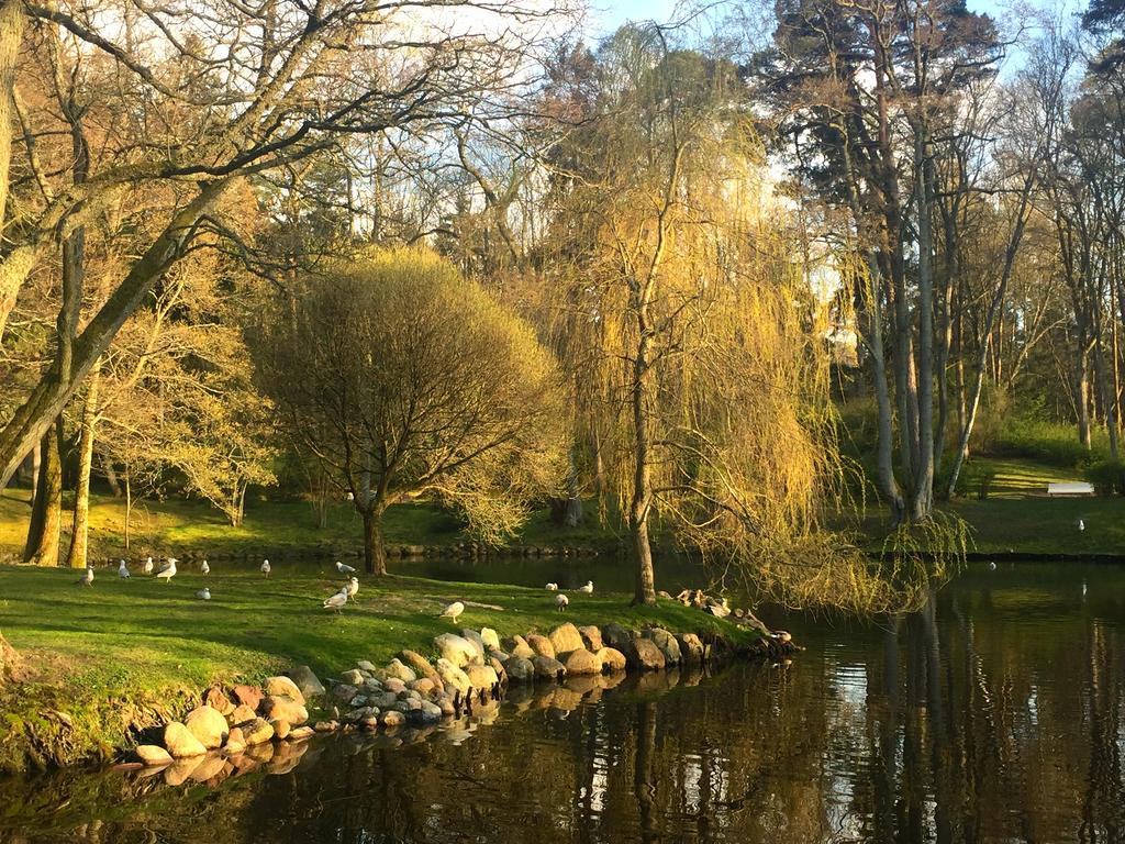 Vila Elegancija Palanga Eksteriør billede
